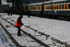 Trans Siberië Express: Image